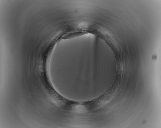 X0000096400224200802071608