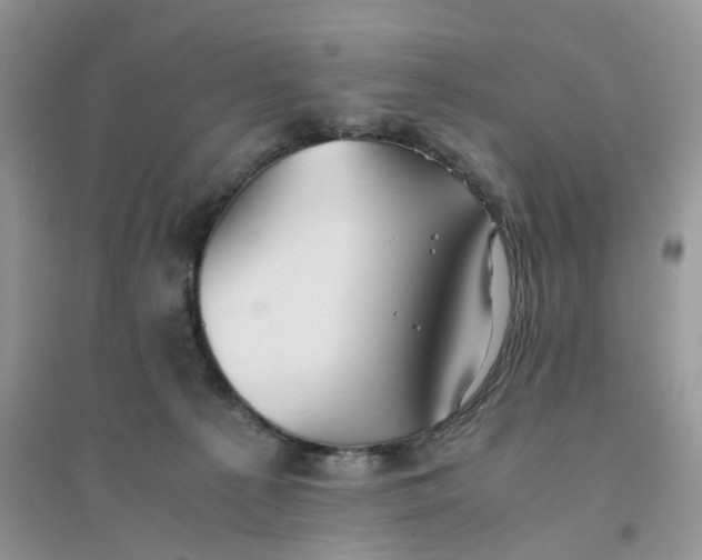 X0000096400225200802071608