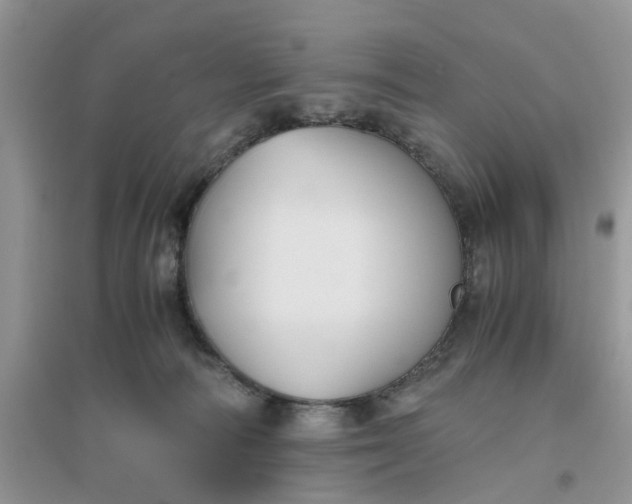 X0000096400226200802071608