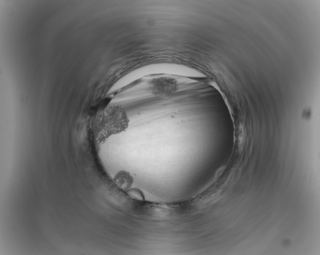 X0000096400229200802071608