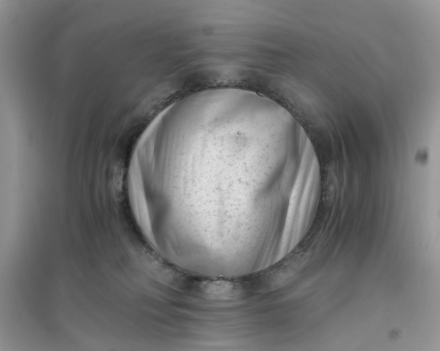 X0000096400230200802071608