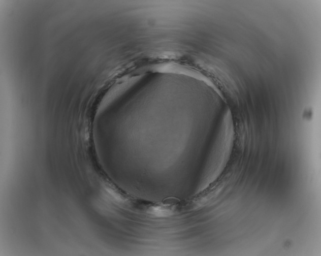 X0000096400232200802071608