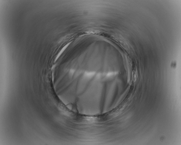 X0000096400233200802071608