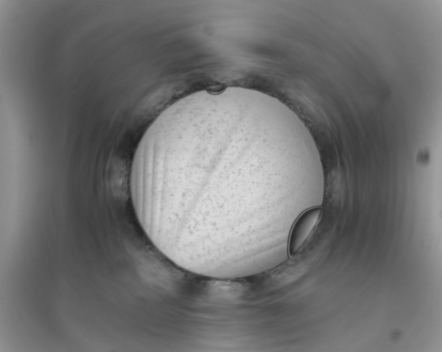 X0000096400234200802071608