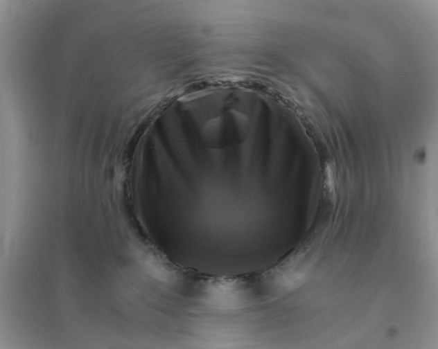 X0000096400235200802071608