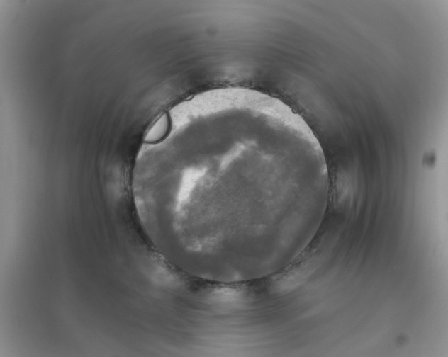 X0000096400236200802071608