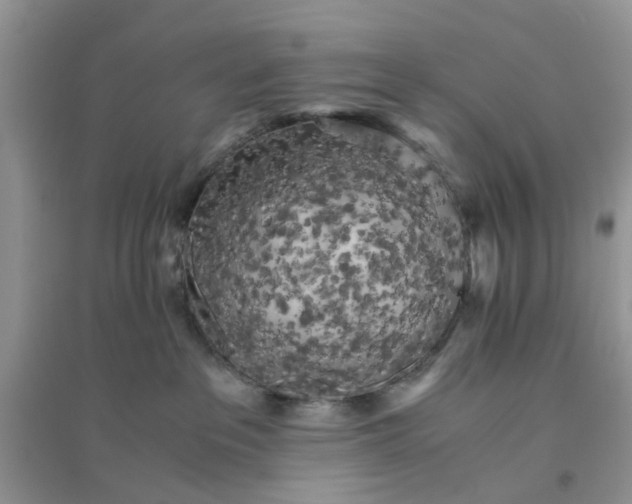 X0000096400237200802071608