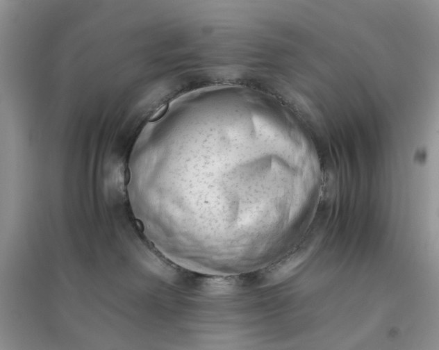 X0000096400238200802071608