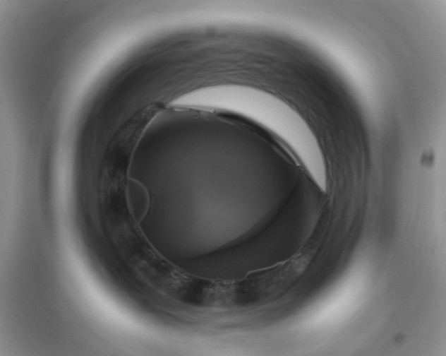 X0000096400239200802071608