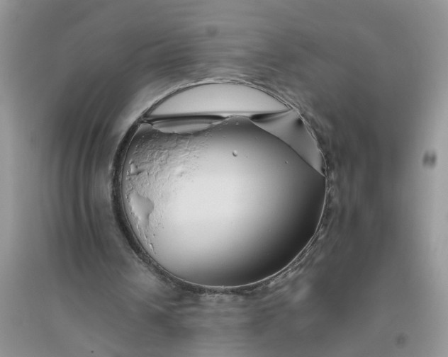 X0000096400242200802071607