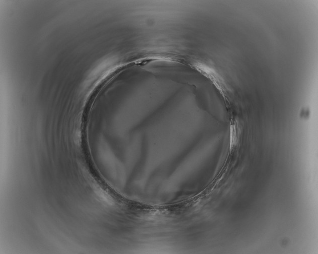 X0000096400243200802071607