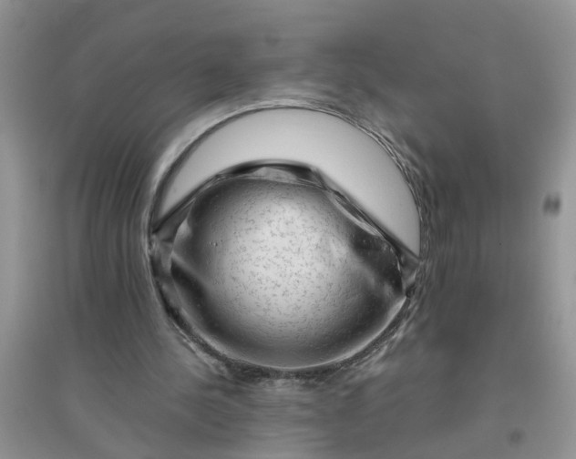 X0000096400244200802071607