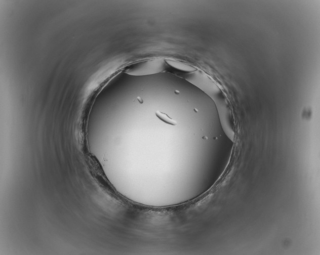 X0000096400245200802071607