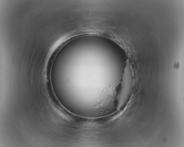 X0000096400246200802071607