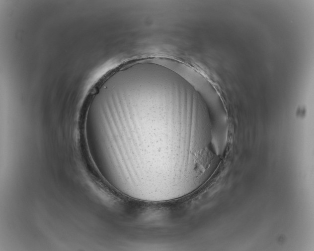 X0000096400248200802071607