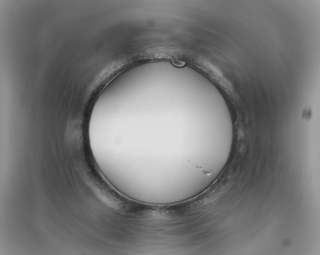 X0000096400250200802071607