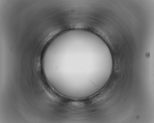 X0000096400251200802071607