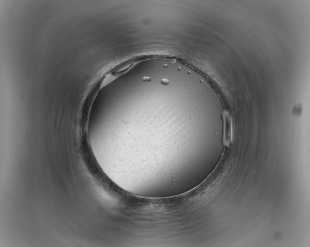 X0000096400252200802071607