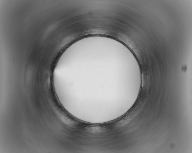 X0000096400253200802071607