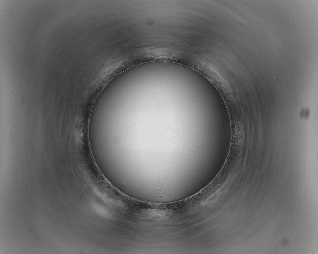 X0000096400255200802071607