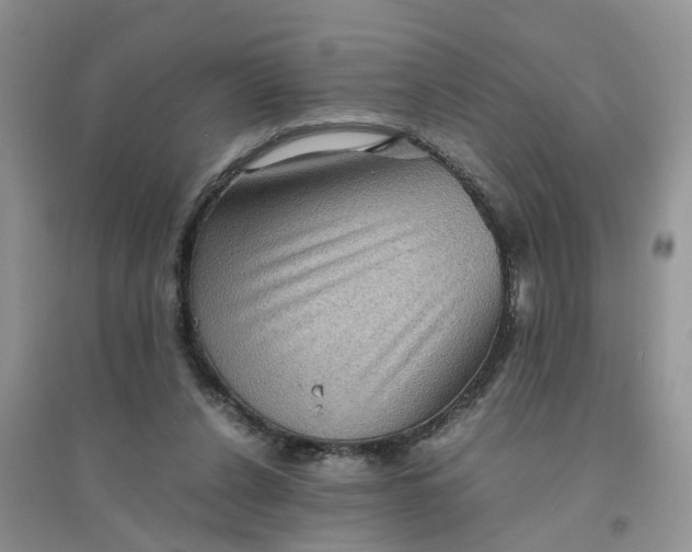 X0000096400256200802071607