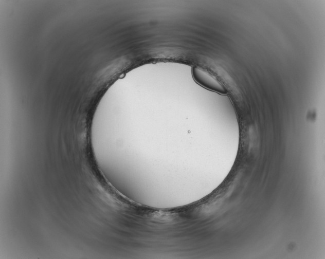 X0000096400261200802071607