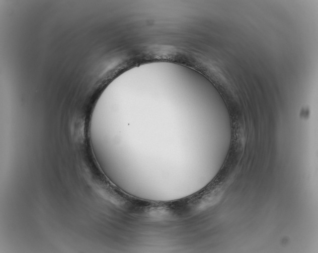 X0000096400262200802071607