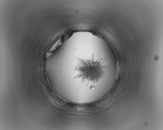 X0000096400264200802071607