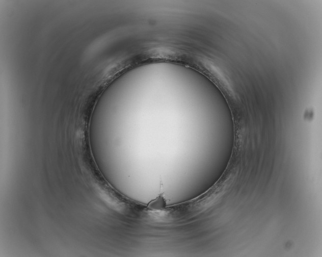 X0000096400265200802071607