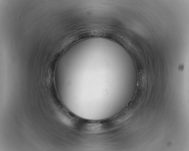 X0000096400266200802071607