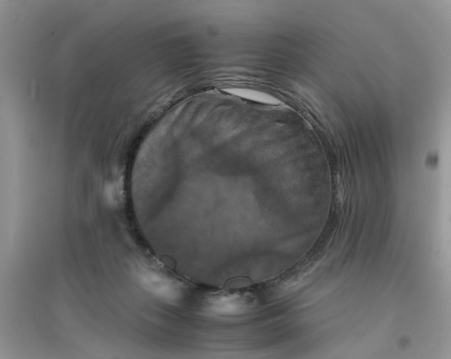 X0000096400267200802071607