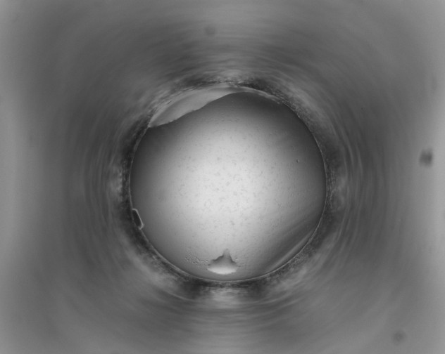 X0000096400268200802071607