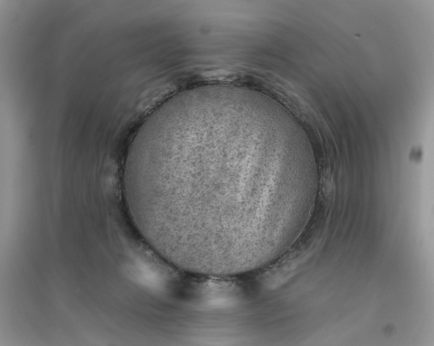 X0000096400270200802071607