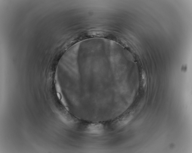 X0000096400271200802071607