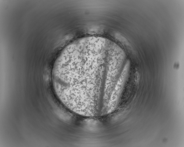 X0000096400272200802071607