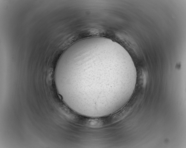 X0000096400275200802071607