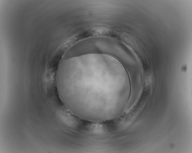 X0000096400276200802071607