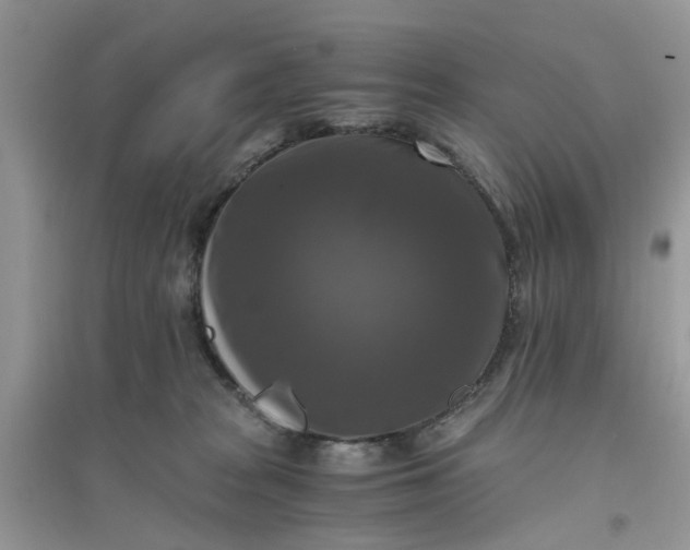 X0000096400277200802071607