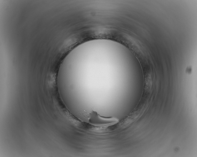 X0000096400278200802071607