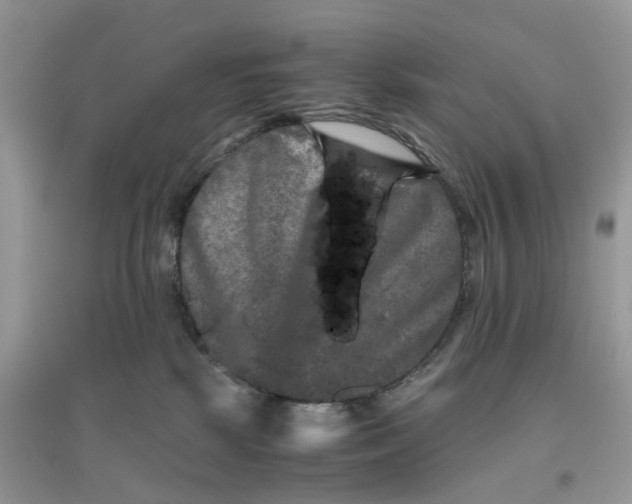 X0000096400281200802071607