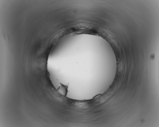 X0000096400283200802071607