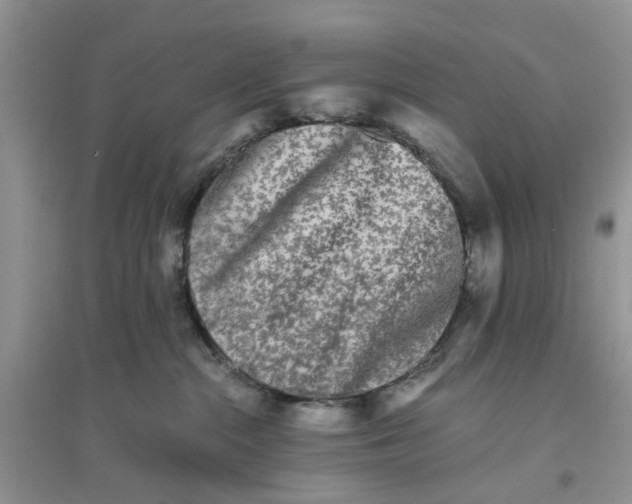 X0000096400284200802071608