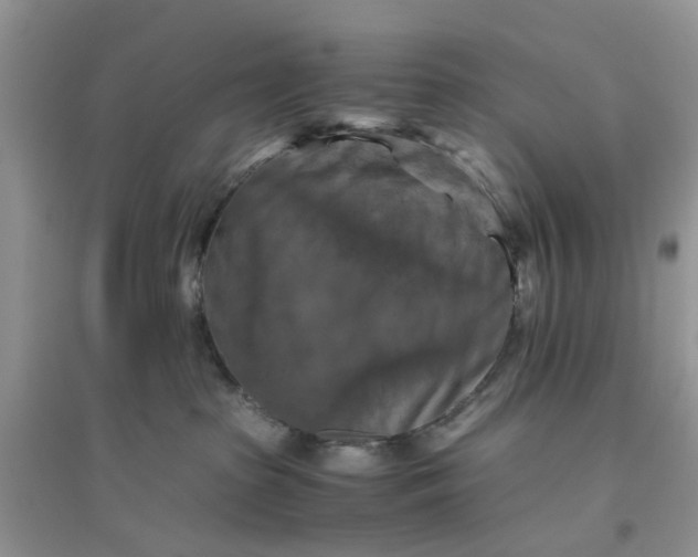 X0000096400285200802071608