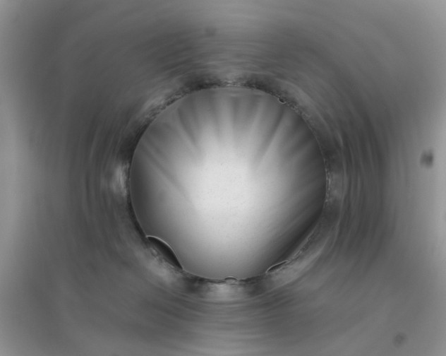 X0000096400286200802071608