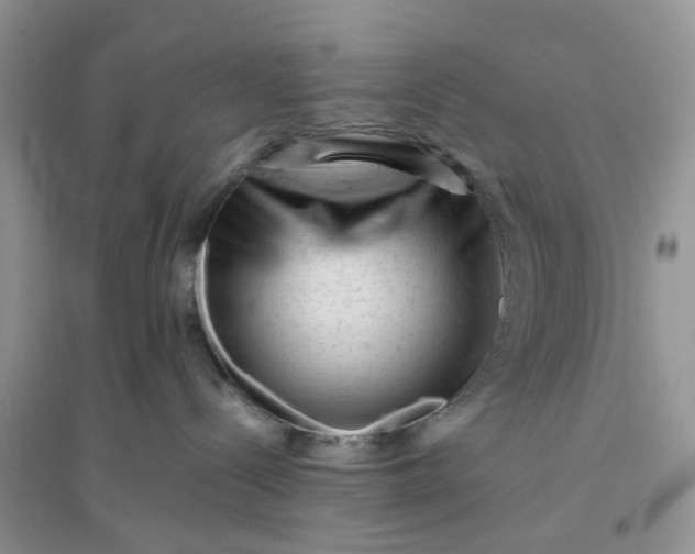 X0000096400288200802071608