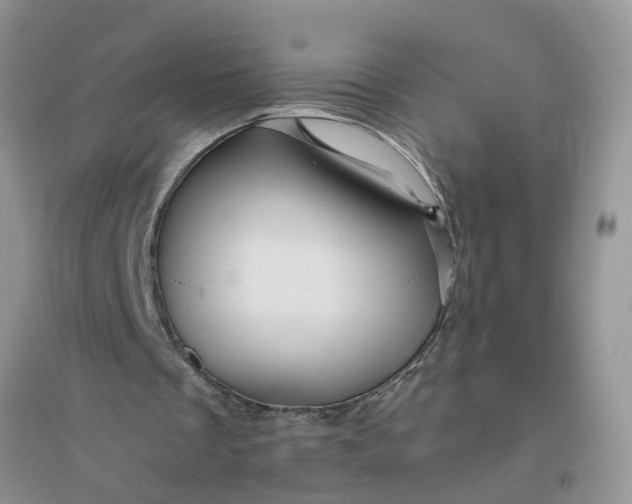 X0000096400289200802071607