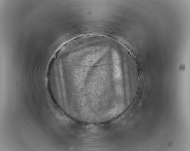 X0000096400290200802071607