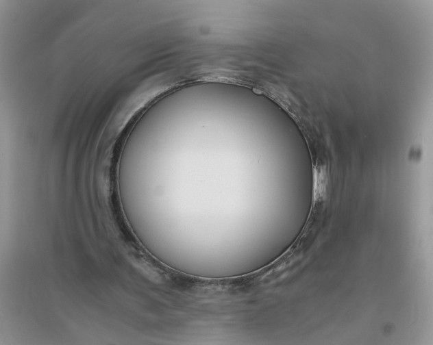 X0000096400291200802071607