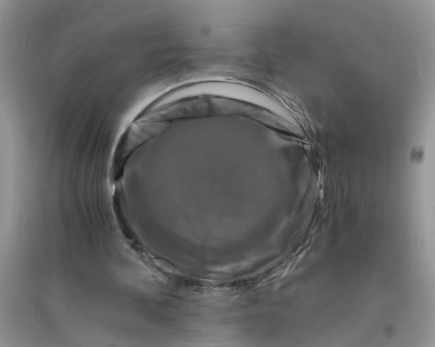 X0000096400292200802071607