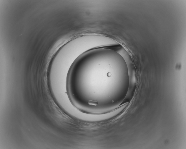 X0000096400293200802071607